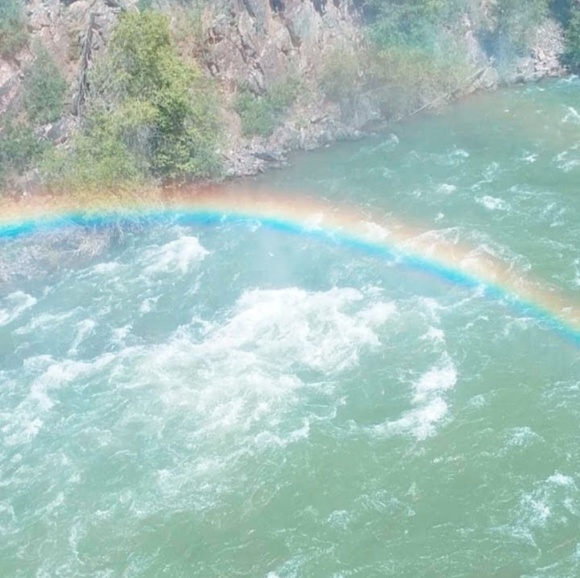 Meet your Posher, Ruby - Picture 1 of 1